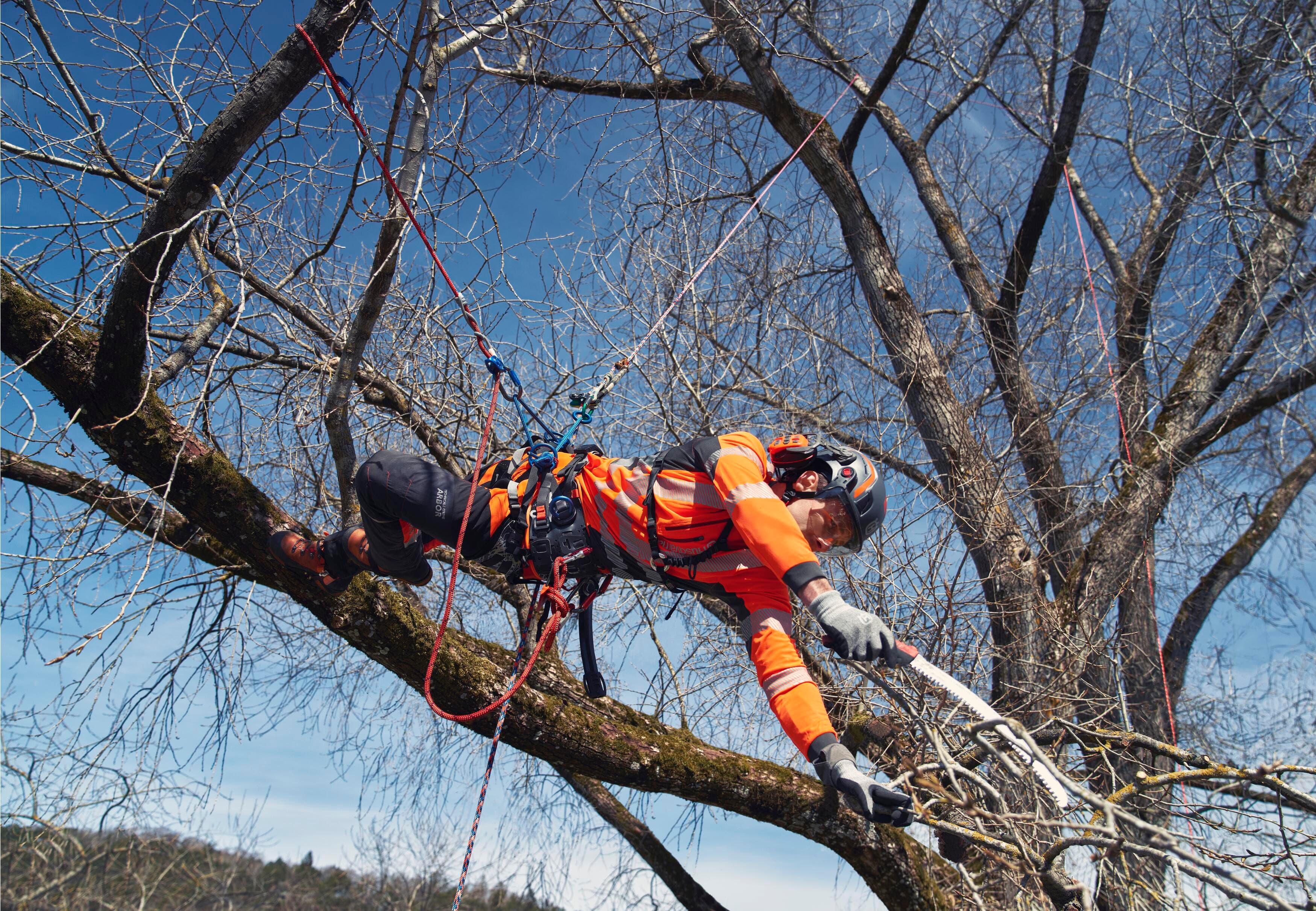 Climbing Harness image 7