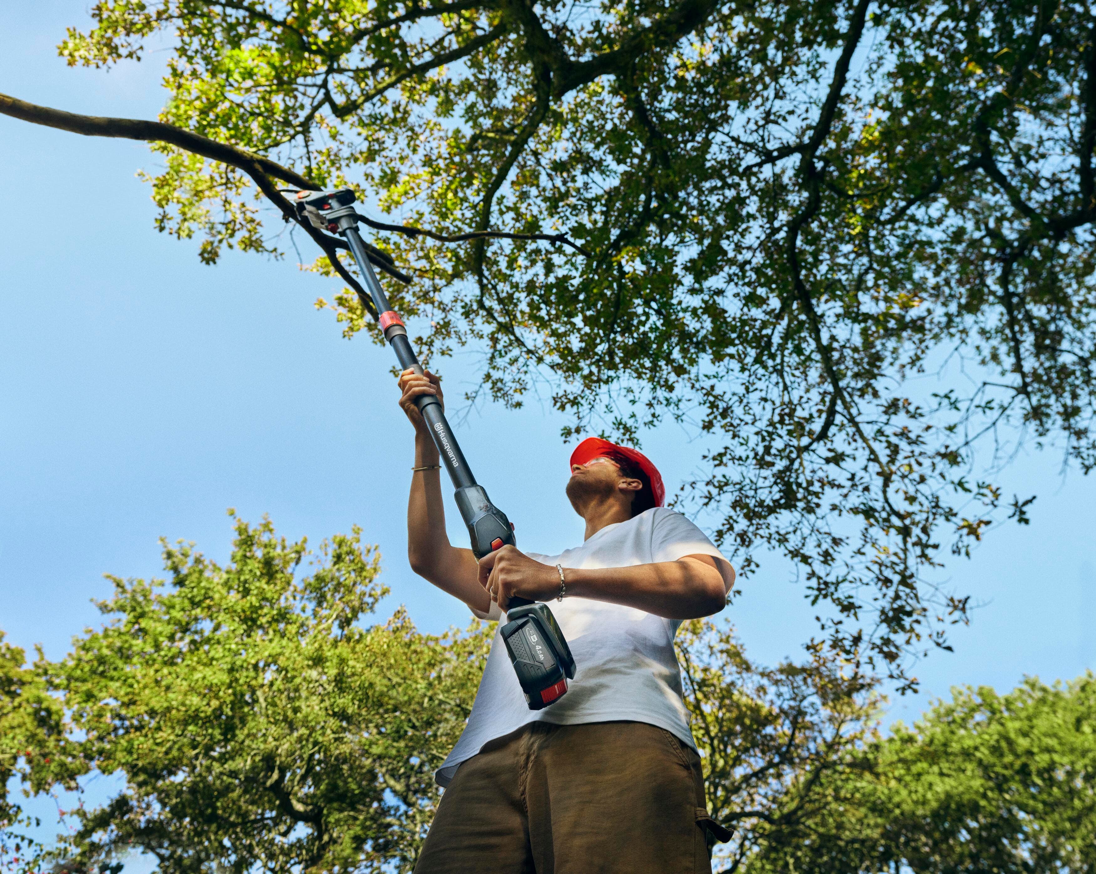 Aspire™ Pruner 18V + Pole Without Battery and Charger image 6